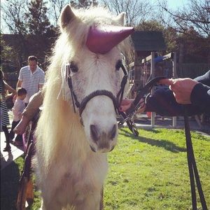 Meet your Posher, Megan