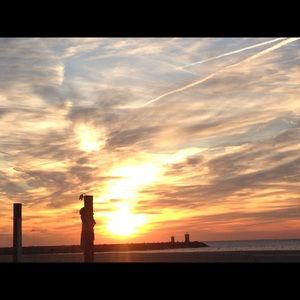 Meet your Posher, Palma