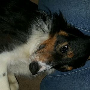 Meet your Posher, Jackie