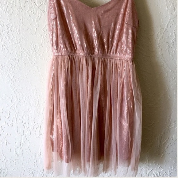 Blush Sequin Tulle Dress, Size Small