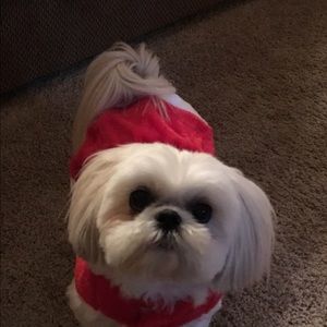 Meet your Posher, Terri