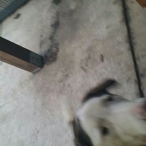 Meet your Posher, Dana