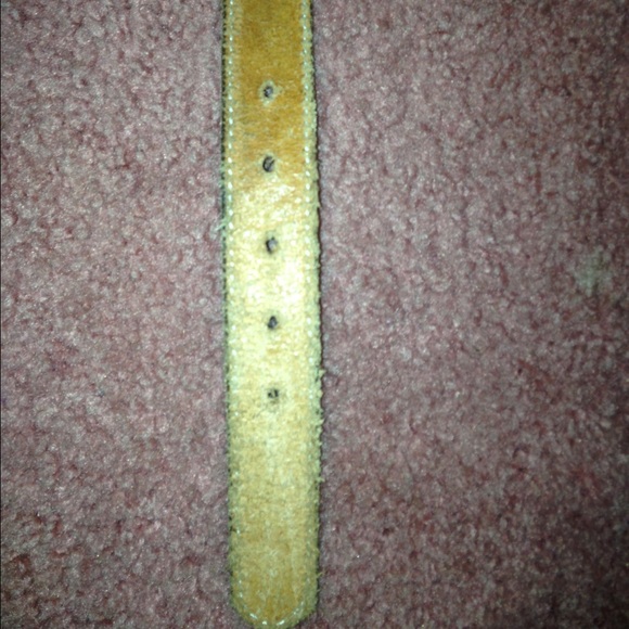Belt - Picture 4 of 4