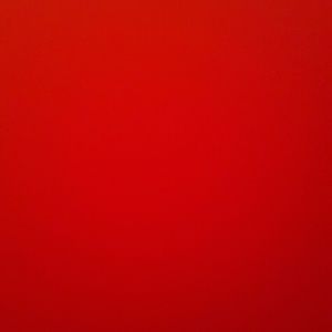 Meet your Posher, Eva