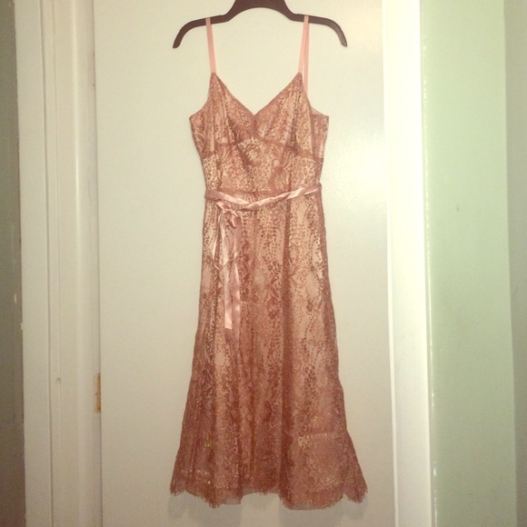 Lace Ann Taylor Dress
