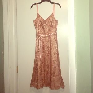 Lace Ann Taylor Dress