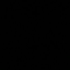 Meet your Posher, Kyla