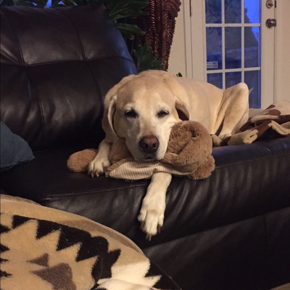 Meet your Posher, Monica - Picture 3 of 3