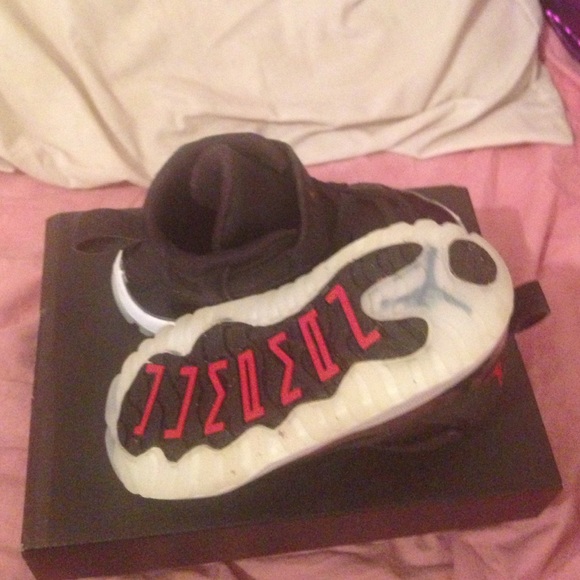 Jordan Retro 11 . The price is staying as it is