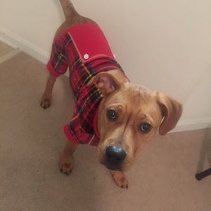 Meet your Posher, Francesca