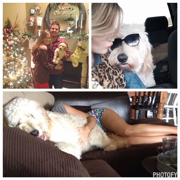 Meet the Posher xo - Picture 5 of 8