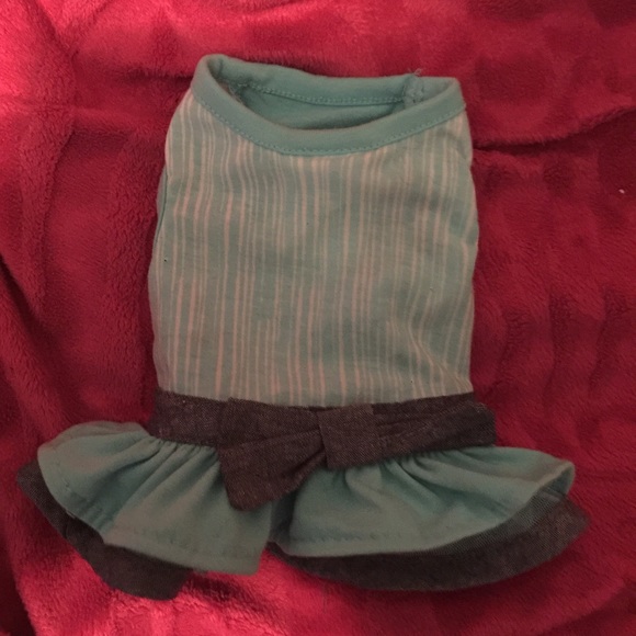 Martha Stewart XS Puppy Dress