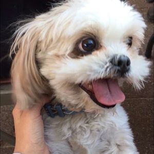 Meet your Posher, Camila