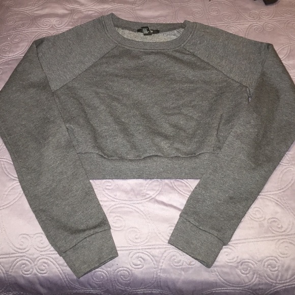 NWOT Gray XXI Crop Top Sweater