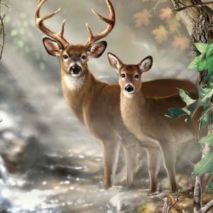 Meet your Posher, Aprille