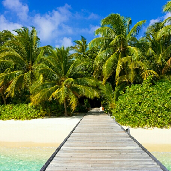 Meet your Posher, Sheila - Picture 1 of 1