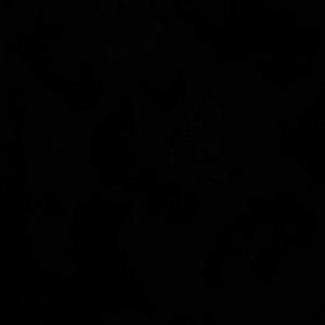 Meet your Posher, Marisa