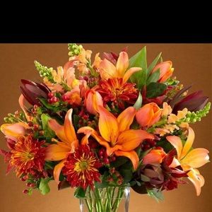 Meet your Posher, Feli