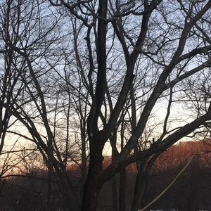 Meet your Posher, Aaliyah