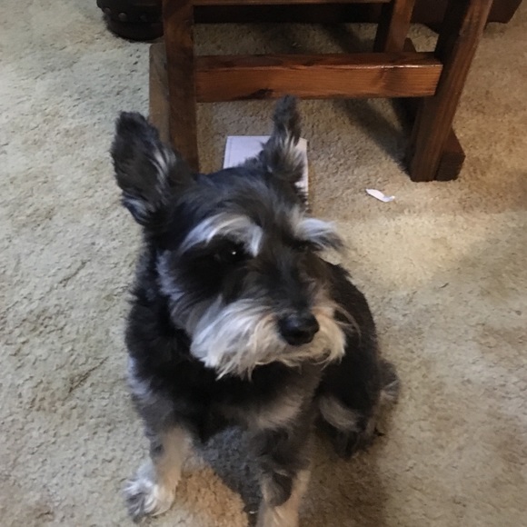 Meet your Posher, Tina