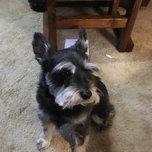 Meet your Posher, Tina