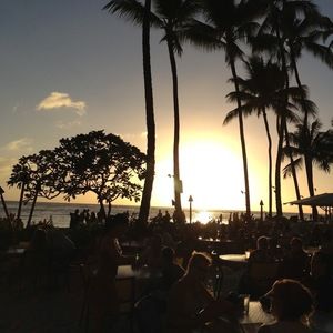 Meet your Posher, Arica