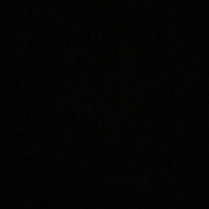 Meet your Posher, Lilly