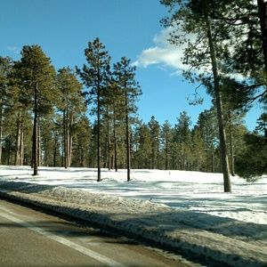 Meet your Posher, Markie