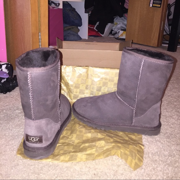 Classic short chocolate uggs