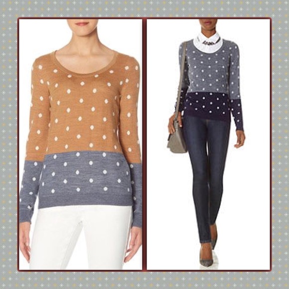 The Limited Sweaters - 🎉HP🎉The Limited Colorblock Polka Dot Sweater XL