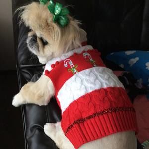 Meet your Posher, Shawnda