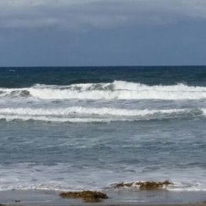 Meet your Posher, Lexi