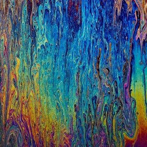 Meet your Posher, Gabby