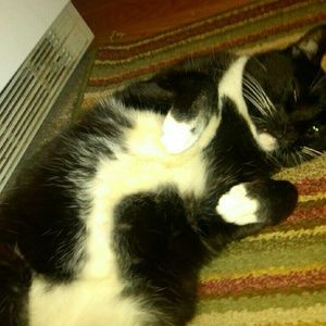 Meet your Posher, Katy