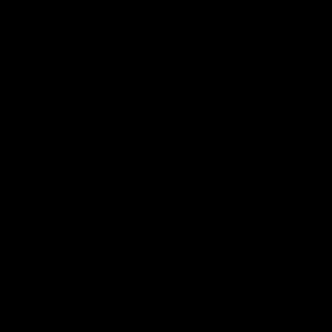 Meet your Posher, Monique