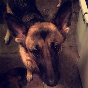 Meet your Posher, Dalton