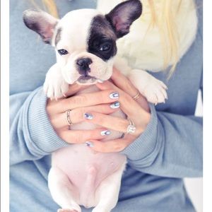 Meet your Posher, Tingting