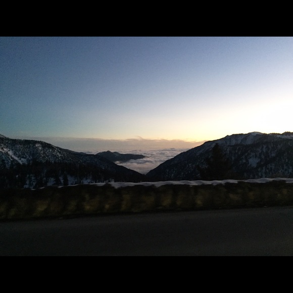 Meet your Posher, Jazmin - Picture 1 of 1