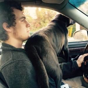 Meet your Posher, Corey