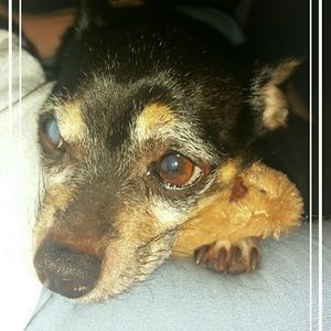 Meet your Posher, Riki