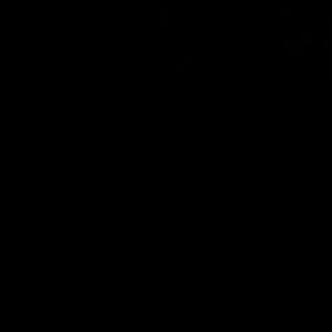 Meet your Posher, Keia