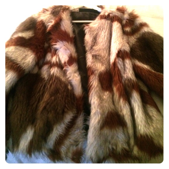 PRICE DROP Mixed Hue Rachel Zoe Faux Fur