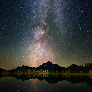 Meet your Posher, Tawna