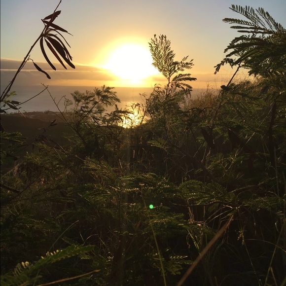 Meet your Posher, Zamira