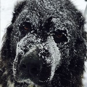 Meet your Posher, Jen