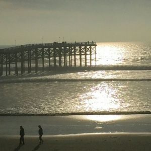 Meet your Posher, Sam