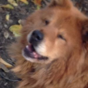 Meet your Posher, Giu