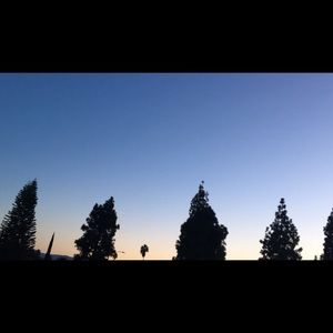 Meet your Posher, Yahaira