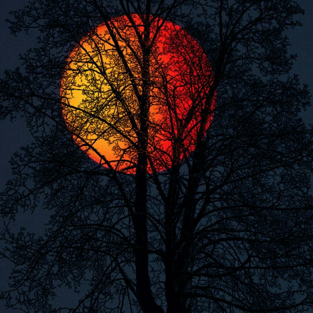 Meet your Posher, Kimberle