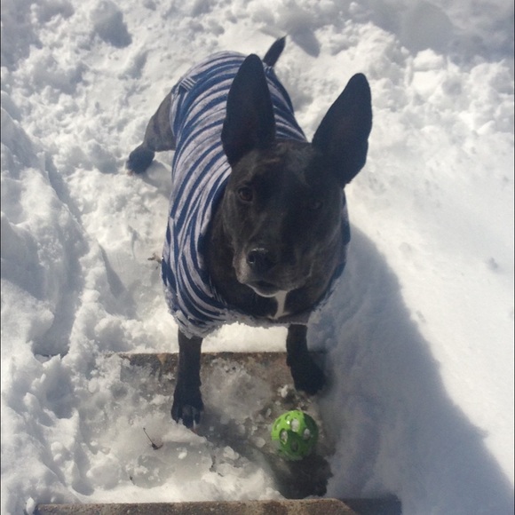 Meet Your Posher, Sara! - Picture 2 of 4